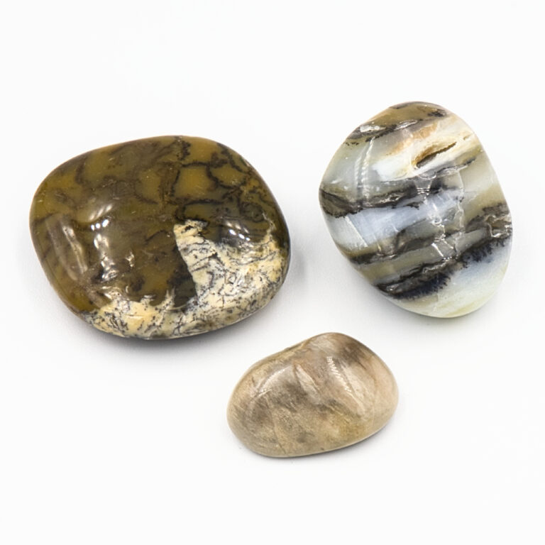 Dendritenopal